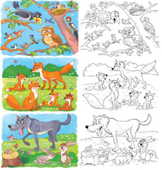 Obraz na płótnie Canvas Set of cute woodland animal. Coloring page. Foxes, wolf, hares, owl, sparrows, crow, woodpecker