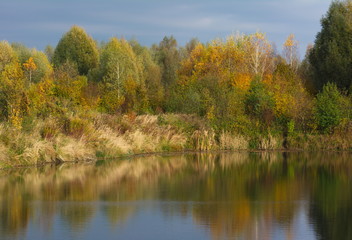 Teich im Herbst