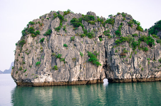Baie de Ha-Long Vietnam - roche végétation