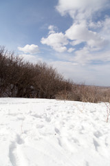 Nature in the Tien Shan mountains in winter. Kazakhstan