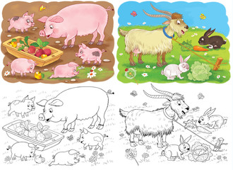 Set of cute farm animals. Coloring page. Pigs, goat and rabbits