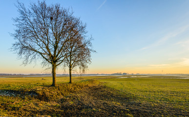 Fototapeta premium Wide Dutch polder landscape in autumn