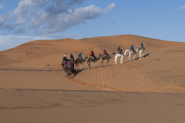 Fototapeta na wymiar Caravana berebere en el desierto de Merzouga, Marruecos 