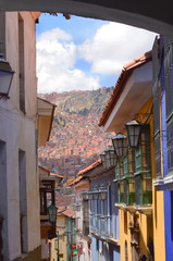 View of the Bolivian city La Paz    © robnaw