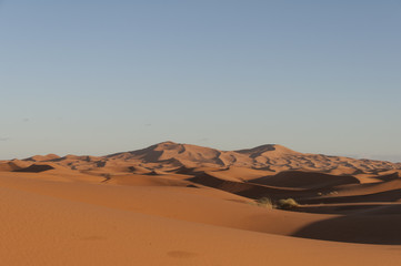 Desierto de arena de Merzouga, Marruecos 
