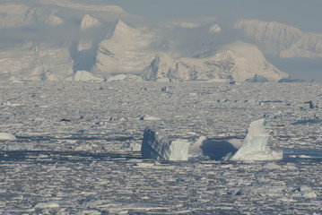 west coast of the Antarctic Peninsula in the winter ice and iceb