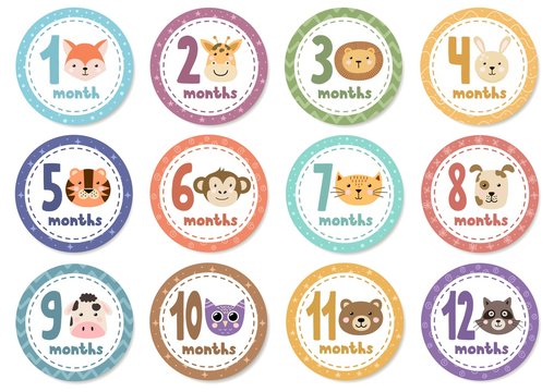 Monthly Baby Stickers With Cute Animals