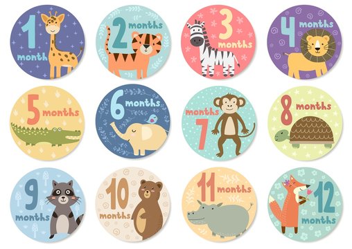 Cute twelve months stickers with animals for babies