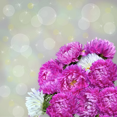 Charming  bouquet of pink asters
