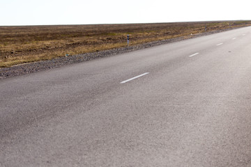 asphalt road in nature
