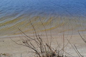 On the bank of river in autumn