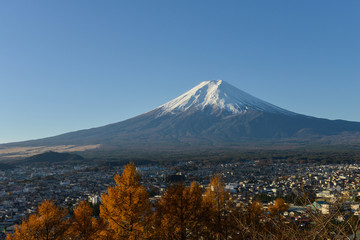 Naklejka na ściany i meble Beautiful Mount Fuji under blue sky and leaves change color