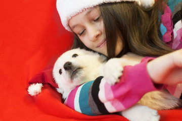 child and puppy in Christmas hat