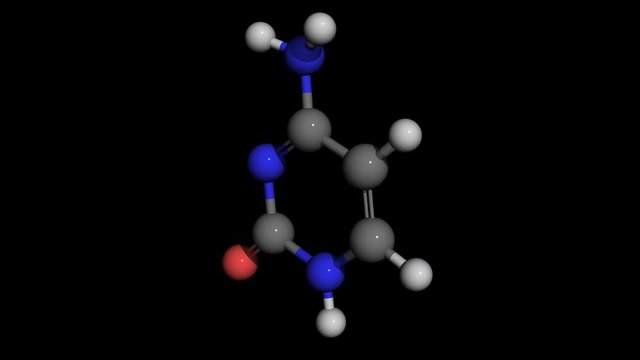 cytosine  molecule model rotating, adenine is a chemical component of dna and rna, seamless loopable
