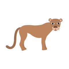 Obraz na płótnie Canvas Vector Illustration of a Puma
