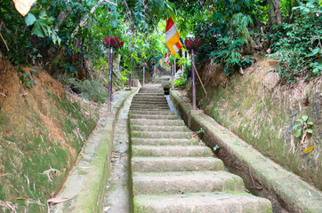 Escalier menant à la pagode de TAY PHUONG – Pagode de l’Ouest - Vietnam