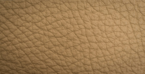 Leather strip macro shot