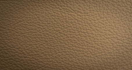 Leather strip macro shot
