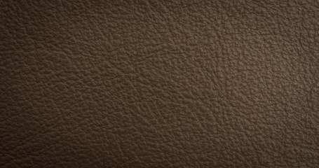 Fototapeta premium Leather strip macro shot