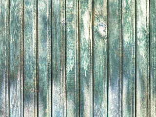 Fototapeta na wymiar Surface of an empty green wooden background