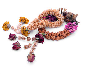 Dried jasmine garland on white background. copy space.