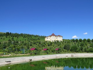 Fototapeta na wymiar Arboretum in the village of Altai