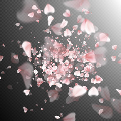 Pink petals on trasnparent background. EPS 10