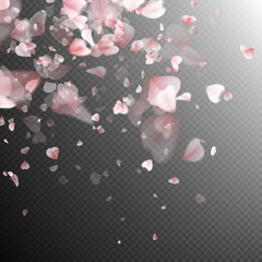 Pink petals background. EPS 10 - 131446980