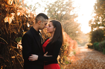 Young couple of pretty girl and man walk outdoors in park on aut