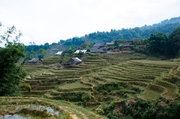Village au milieu des rizières en terrasse - Sa Pa - Vietnam