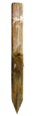 Isolated wooden construction stake. Vertical