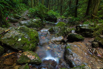 Japanese mountain stream