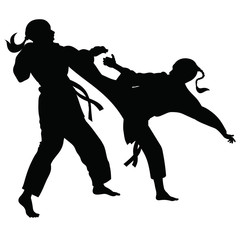 Silhouette of athletes involved in martial arts sparring
