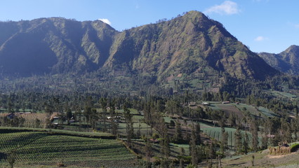 Mount Bromo in Indonesia