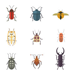 Set of insects flat style vector design icons. Collection nature beetle and zoology cartoon illustration