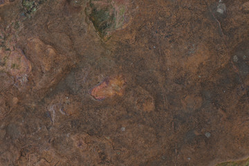 rust stone texture, rock texture and background 