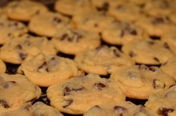Closeup of homemade chocolate chip cookies background