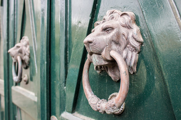 Fototapeta na wymiar Lion-shaped metal door knocker.