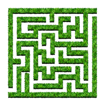 Maze Of Green Bushes, Labyrinth Garden. Vector Illustration. Iso