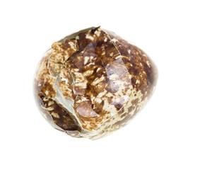 quail egg on a white background