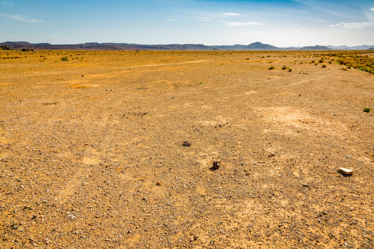 Reg desert Sahara in Morocco