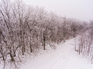 Winter forest with frosty trees. Aerial view.