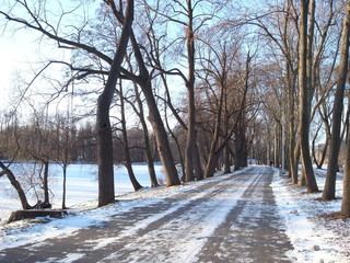 Winter landscape, Zmny park. A clear winter day in the park. Beautiful winter day. Trees in the snow.