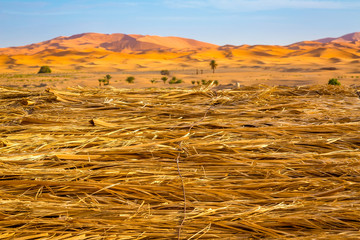 The material used for the roof of Berber constructions