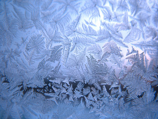 frozen winter window
