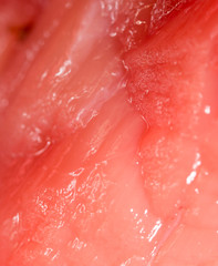 fresh meat as a background. macro