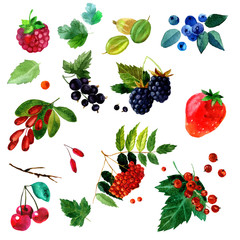 watercolor illustration of a set  different berries image. transparent   shades. Labels, background, card, pattern
