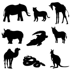 Vector illustration. Image rhino kangaroo, giraffe, elephant, zebra, snake, crocodile, camel, tiger a black silhouette.