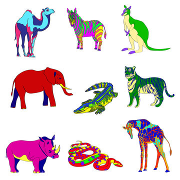 Vector illustration. Image rhino kangaroo, giraffe, elephant, zebra, snake, crocodile, camel, tiger various bright colors.