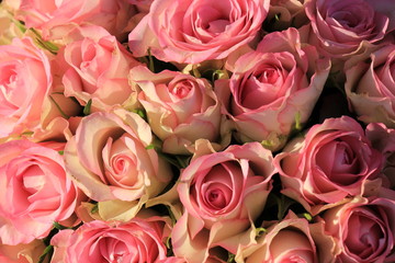 Pink roses wedding bouquet
